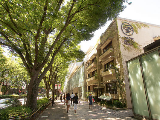 表参道から始まる素敵な出会