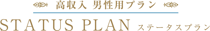 高収入男性 専用プラン