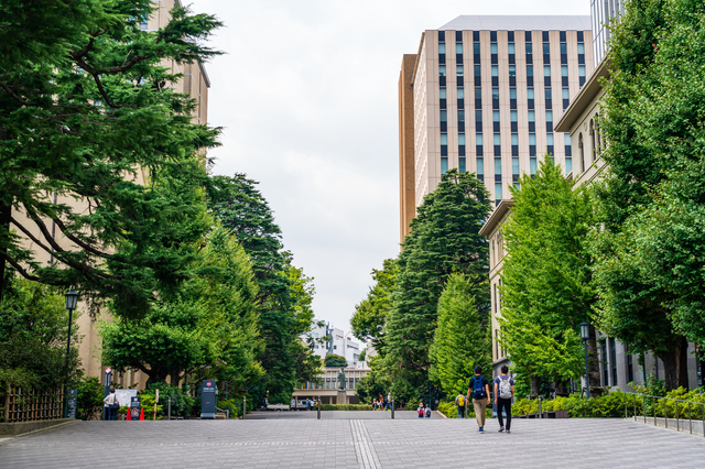 早稲田大学