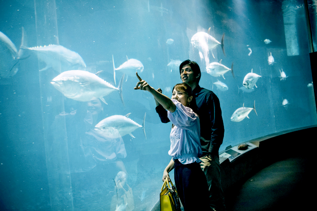 水族館デート