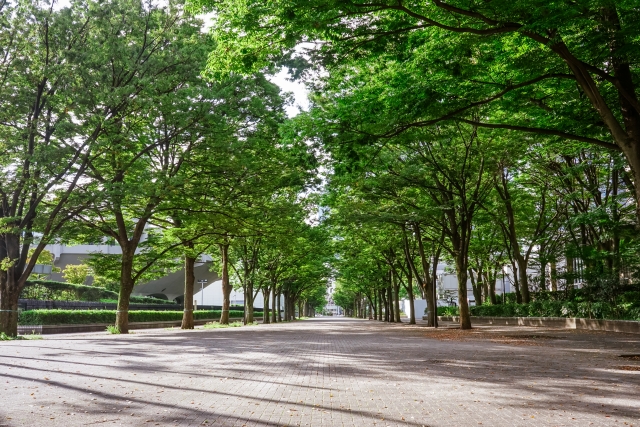 代々木公園