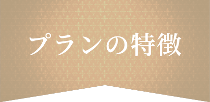 プランの特徴